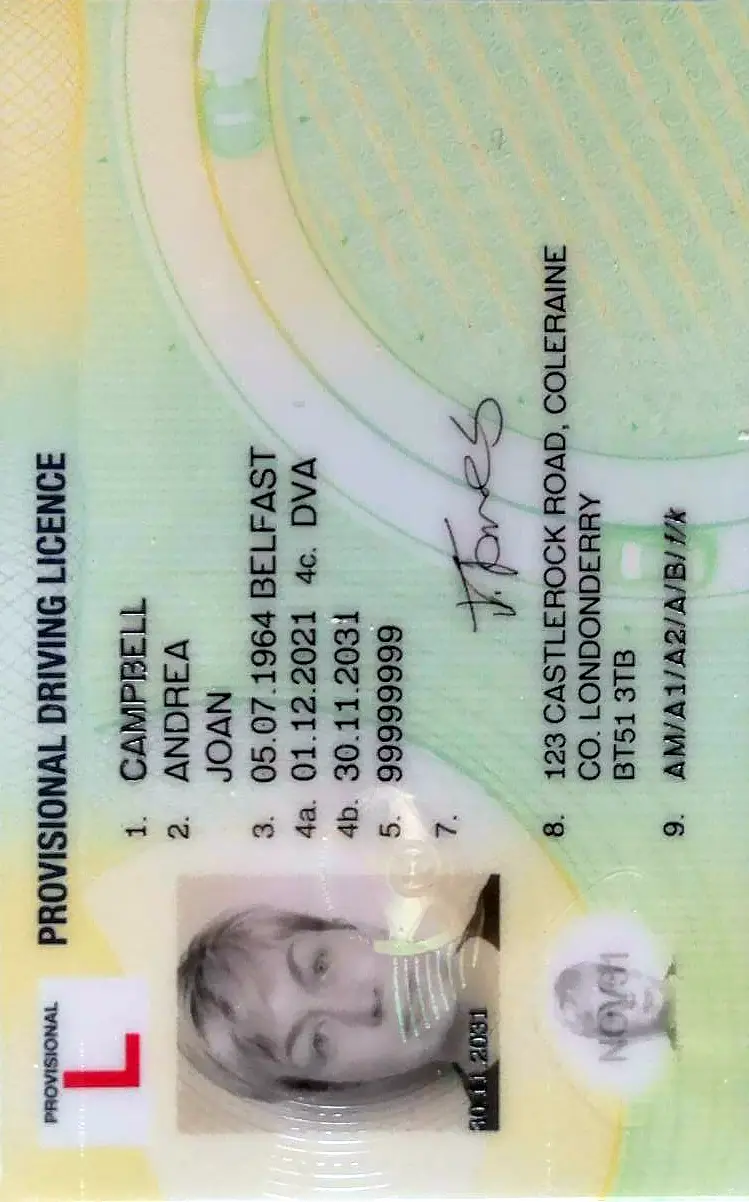 UK Provisional Driving Licence Photo