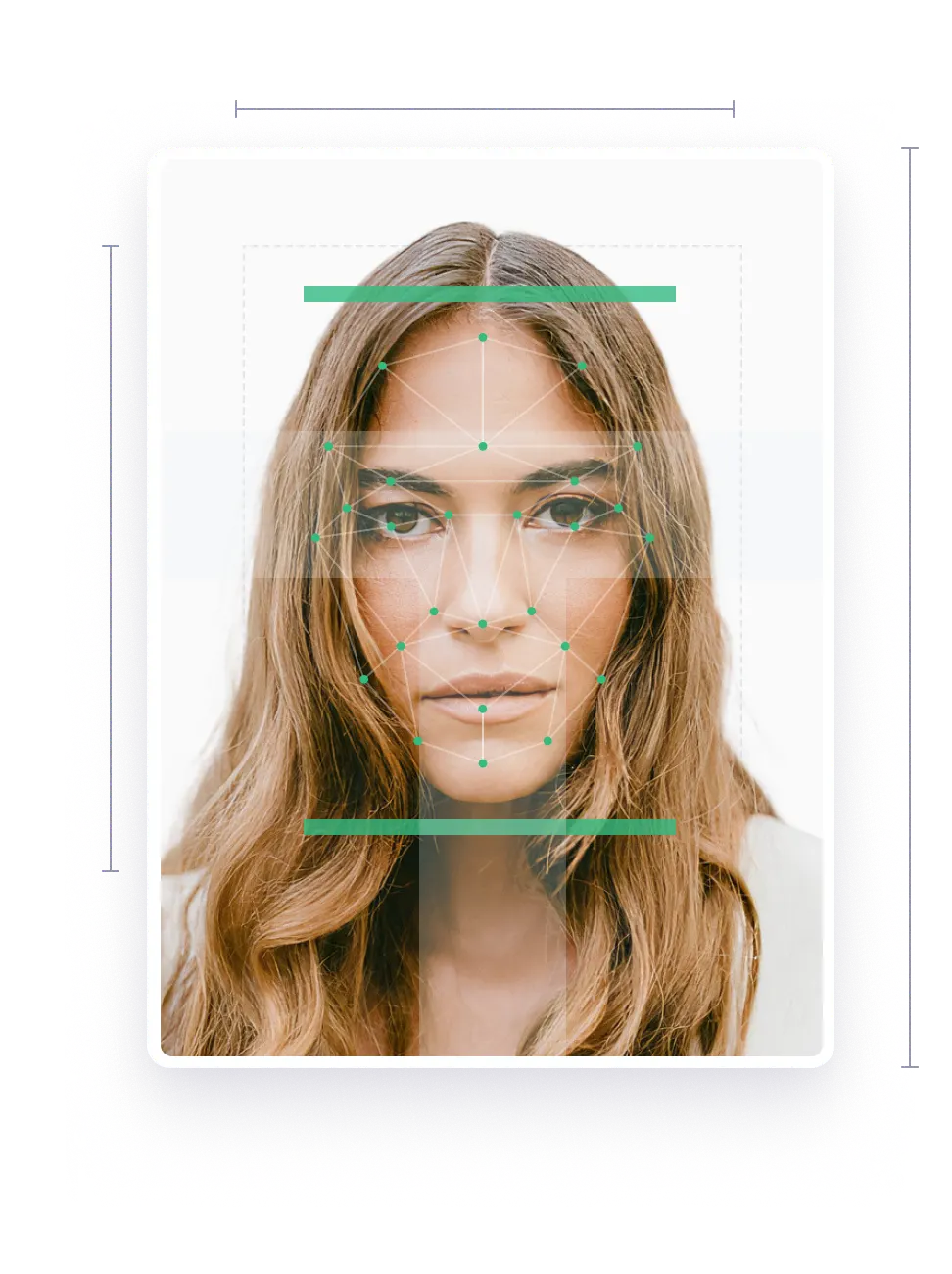 Biometric photo with dimensions