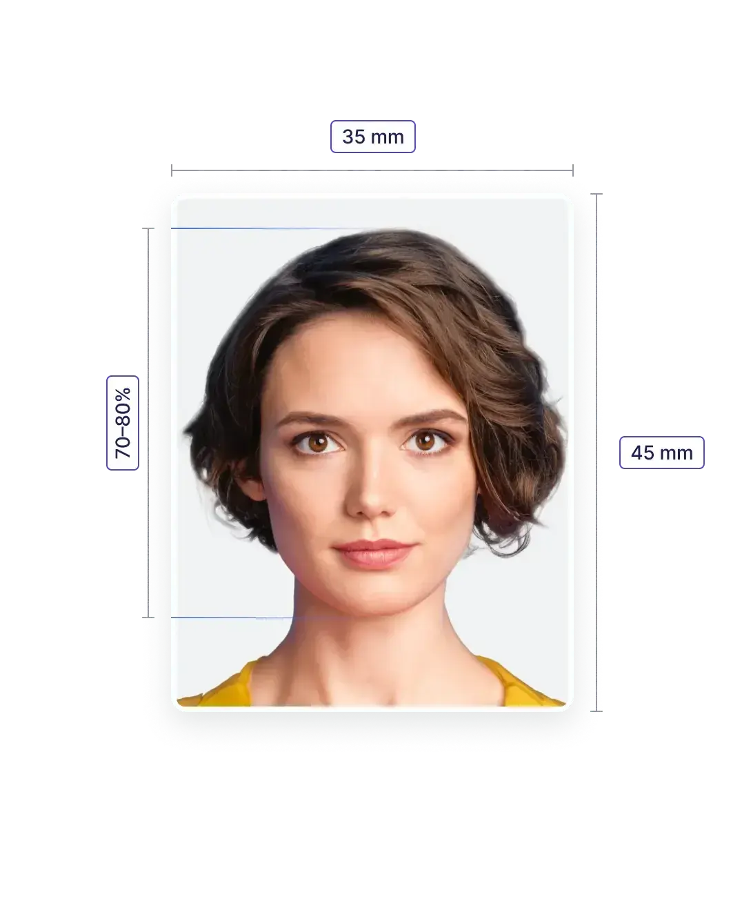 French Passport Photo—Specifications