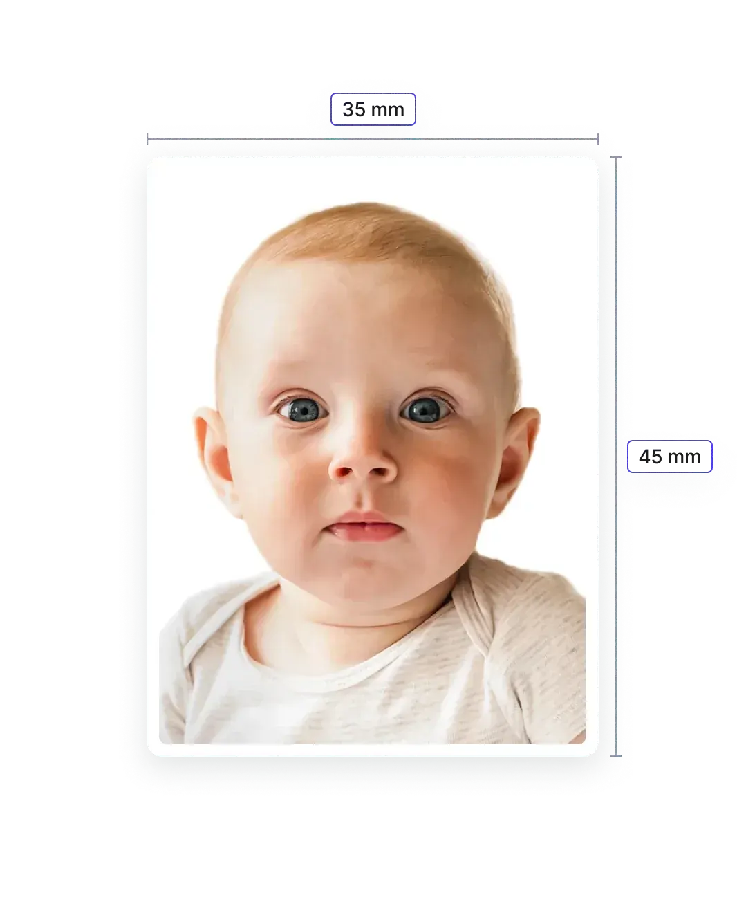 Baby Passport Photo NZ—Specifications