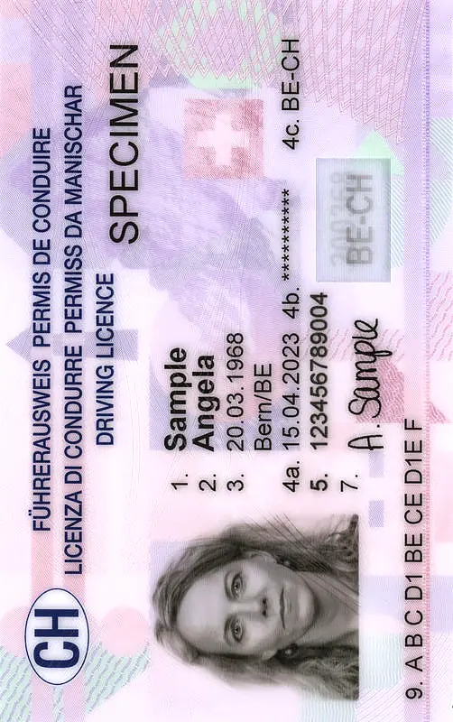 Foto für den Schweizer Führerausweis