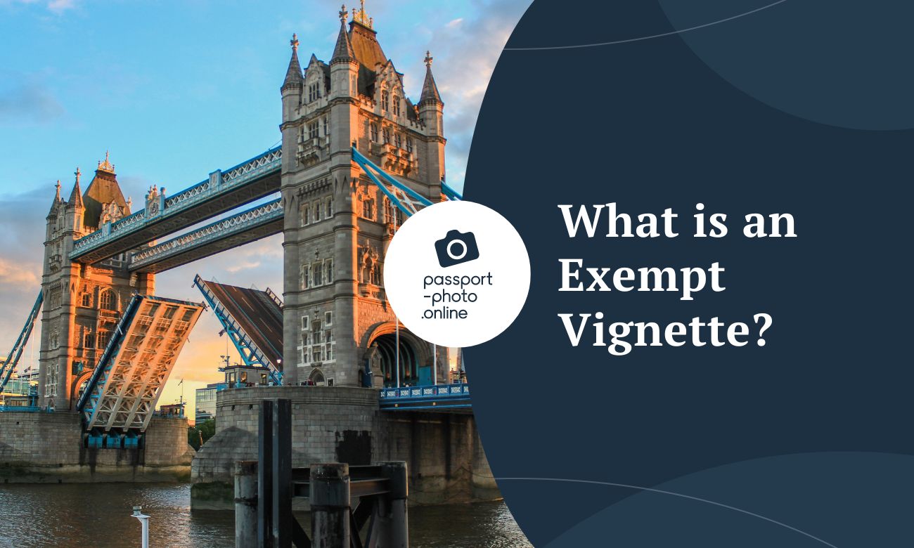 What is an Exempt Vignette?