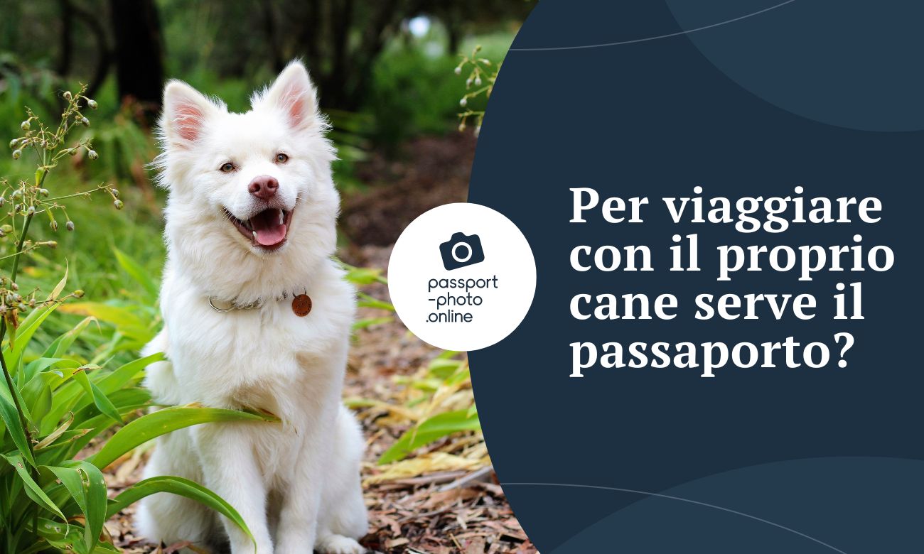 Per viaggiare con il proprio cane serve il passaporto?