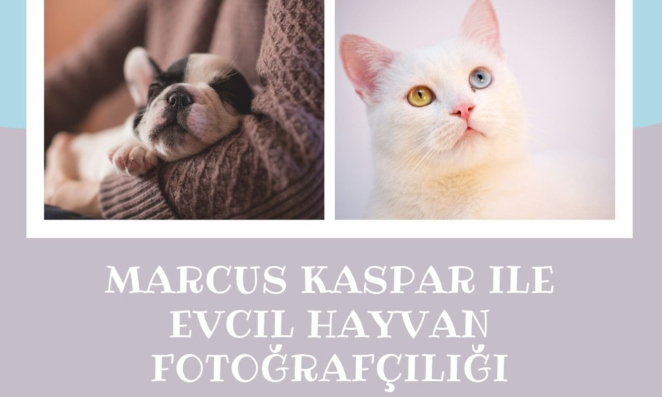 Marcus Kaspar ile Evcil Hayvan Fotoğrafçılığı