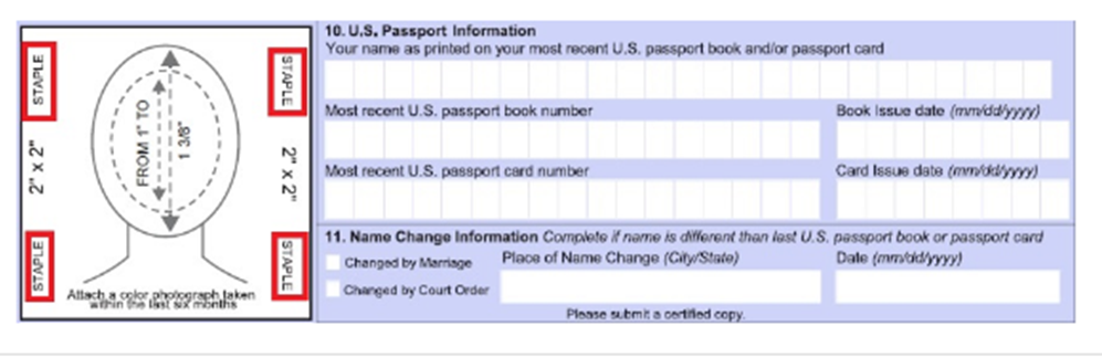 Example of where a passport photo should be added with the required size.