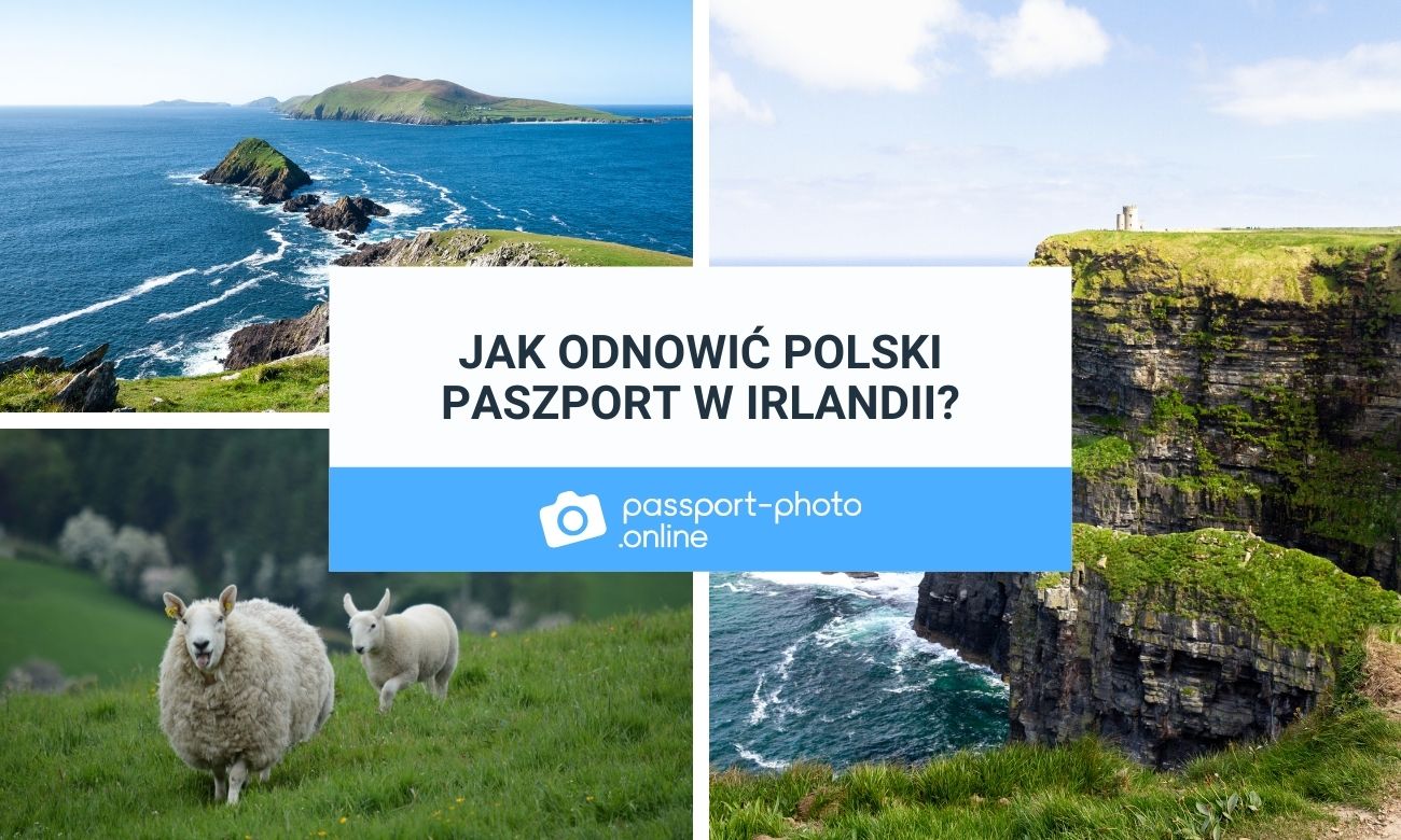 Jak odnowić polski paszport w Irlandii?
