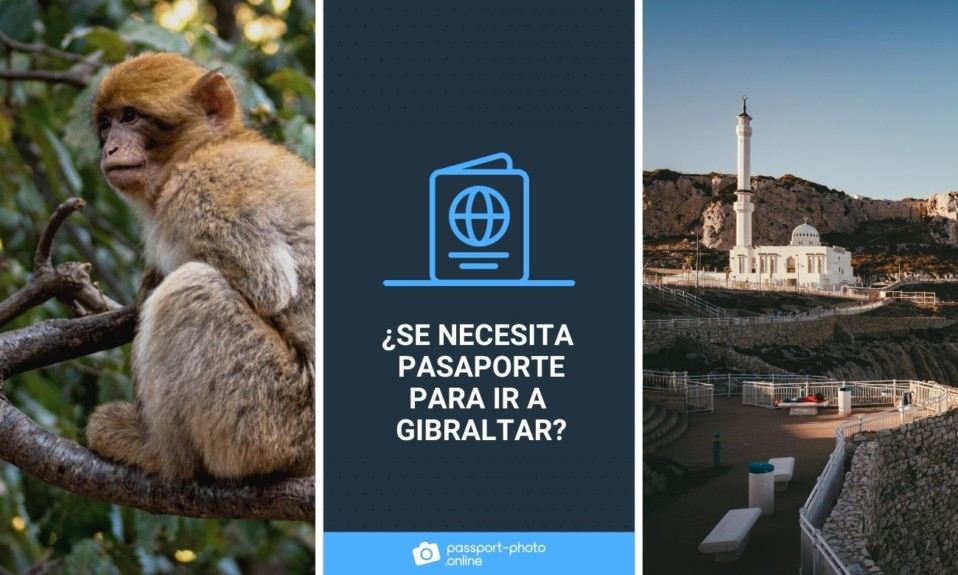 El macaco de berbería o mono de Gibraltar. A su izquierda, el famoso peñón. ¿Se necesita pasaporte para ir a Gibraltar?