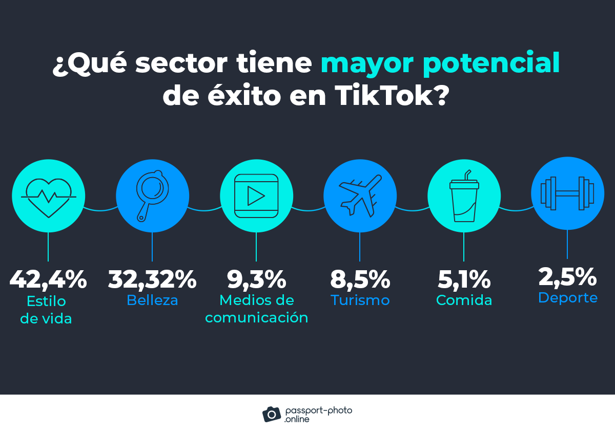 qué sector tiene más potencial de éxito en TikTok