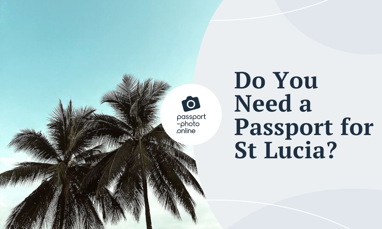 how to get a pet passport for a jindo in saint lucia