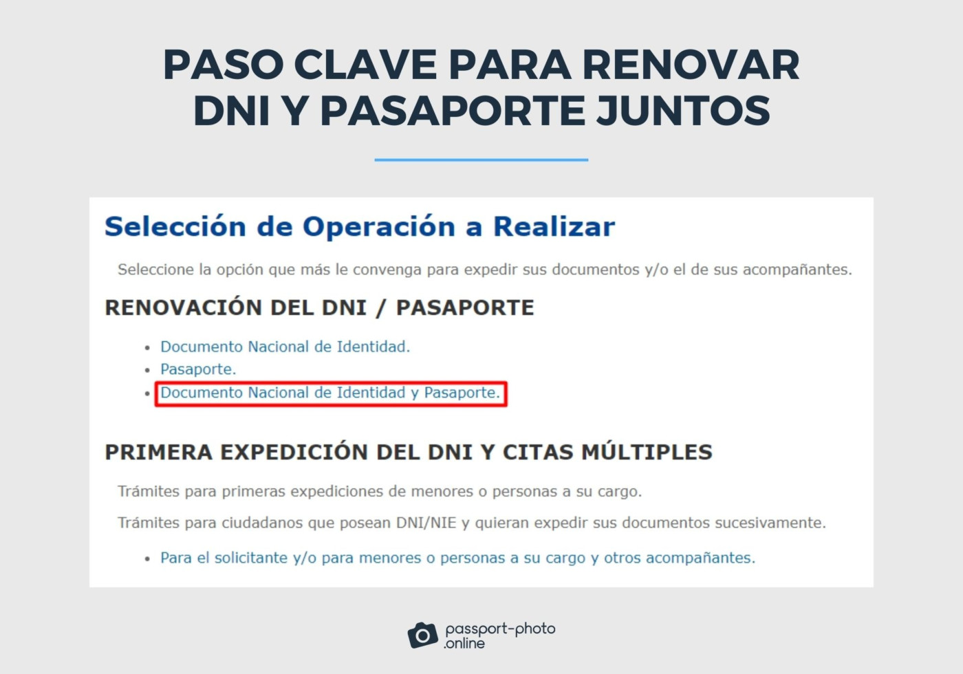 La imagen muestra la página web del Ministerio del Interior. En concreto, la opción correcta para renovar DNI y pasaporte juntos.