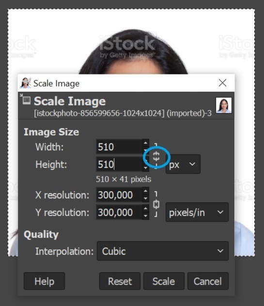 a screenshot of GIMP with a highlighted cut chain to scale the image properly