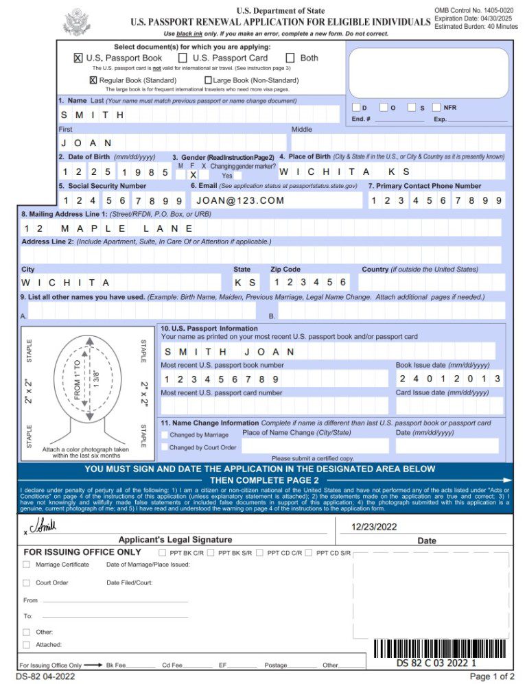 DS 82 Passport Renewal Form How To Fill It Out Examples 