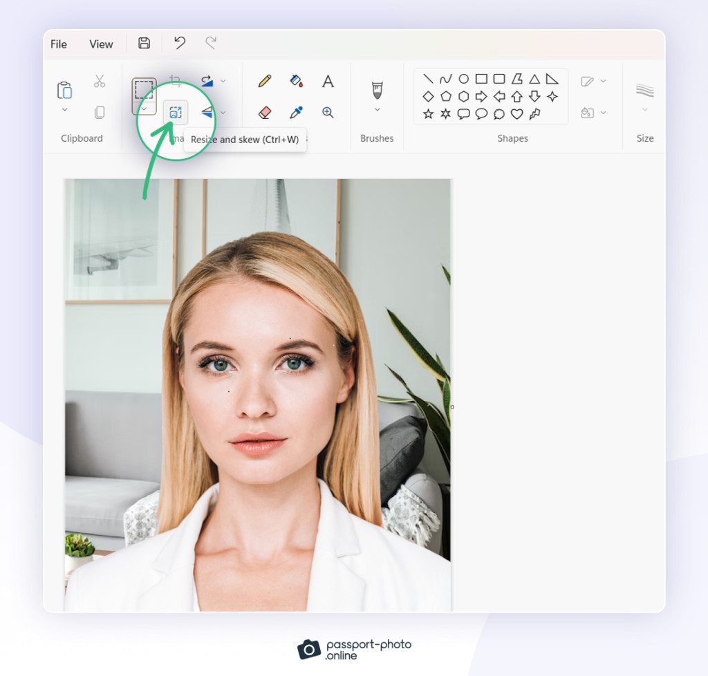 How to Resize a Photo to Passport Size [Examples & Tools]
