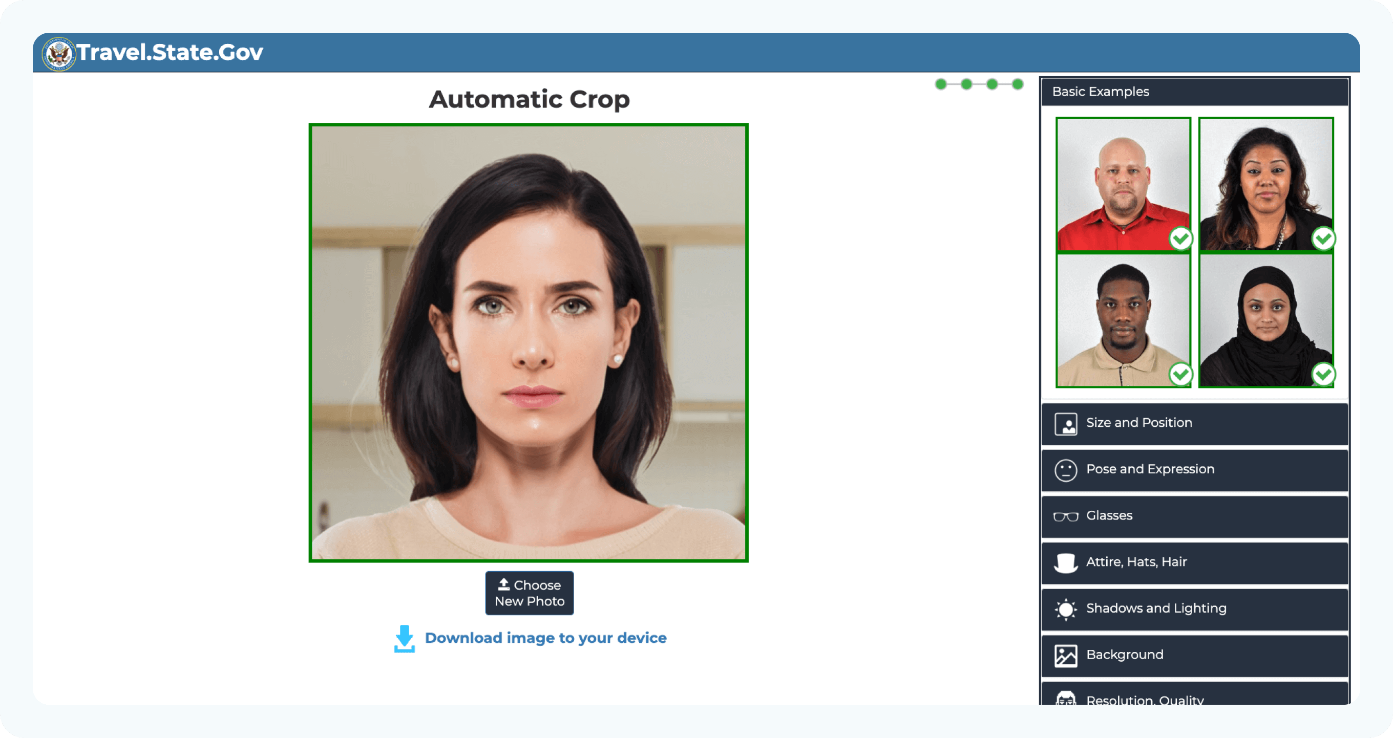 A screenshot of the official website where you can crop your passport photo to the required size.