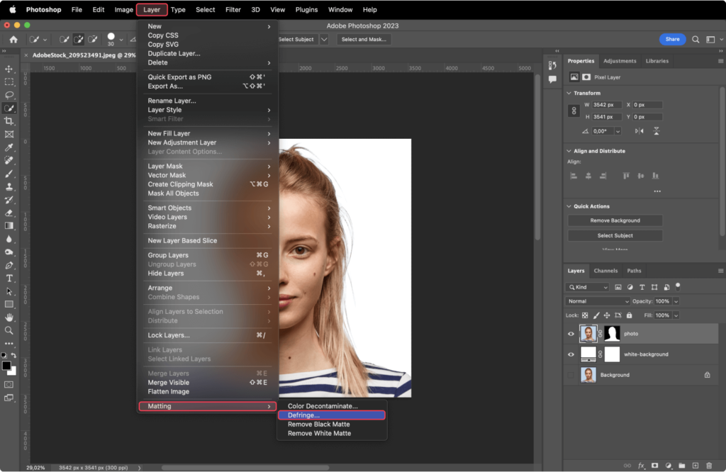 How to Make a Passport Photo in