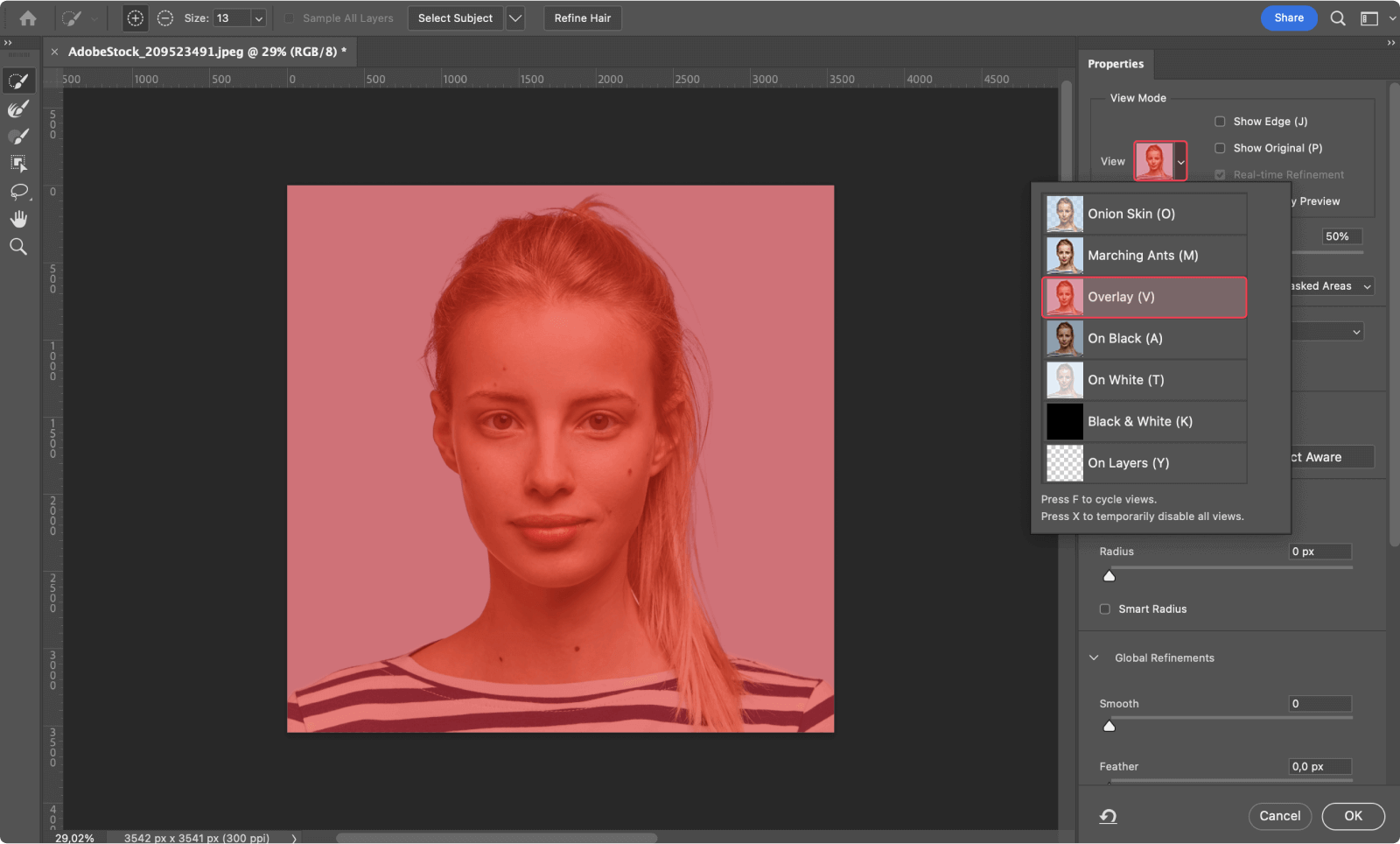 A passport photo on Photoshop with a red overlay.