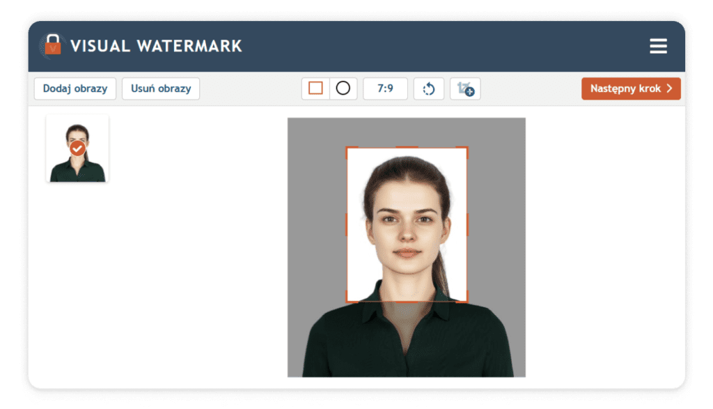 Ekran edycji zdjęcia na stronie narzędzia Visual Watermark.
