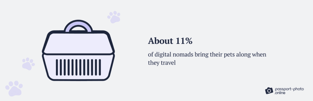 Illustration highlighting that about 11% of digital nomads travel with their pets.