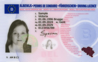 Belgian Baby Passport Photo Online