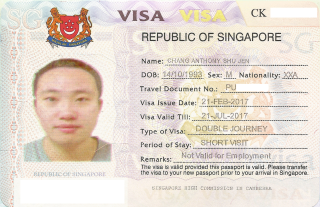 Visa to Singapore 35x45 MM (3,5 X 4,5 CM)