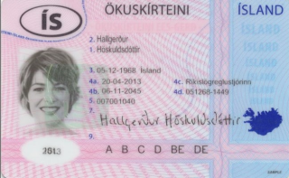 Icelandic Driving Licence Photo