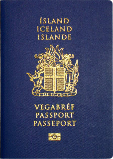 Icelandic Baby Passport Photo