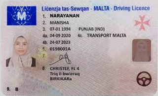 Maltese Driving Licence Photo