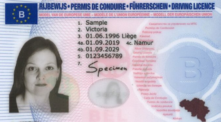 Photo Pour Carte D Identite Belge Passport Photo Online