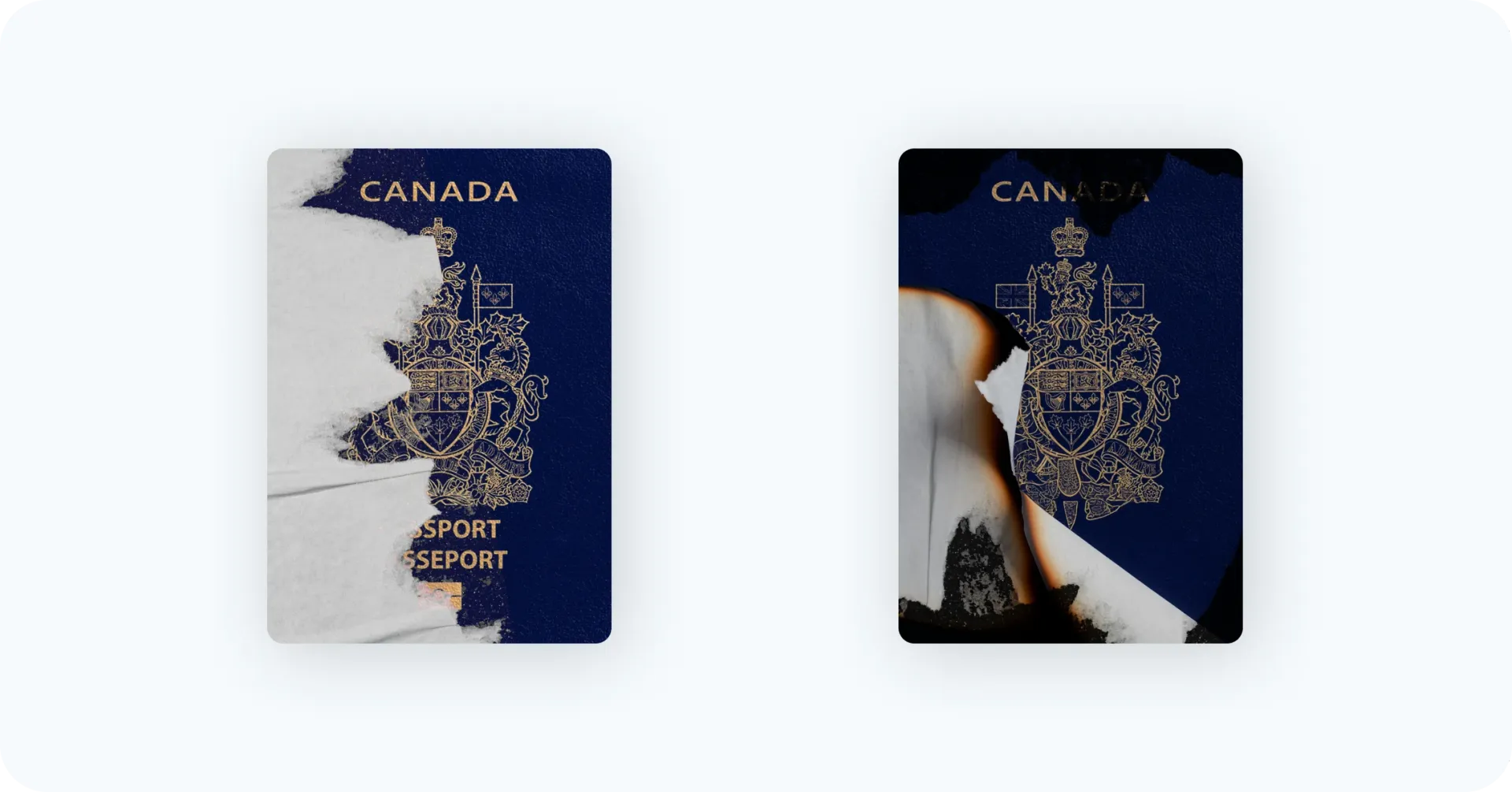 Examples of damaged Canadian passport.