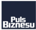 puls biznesu logo