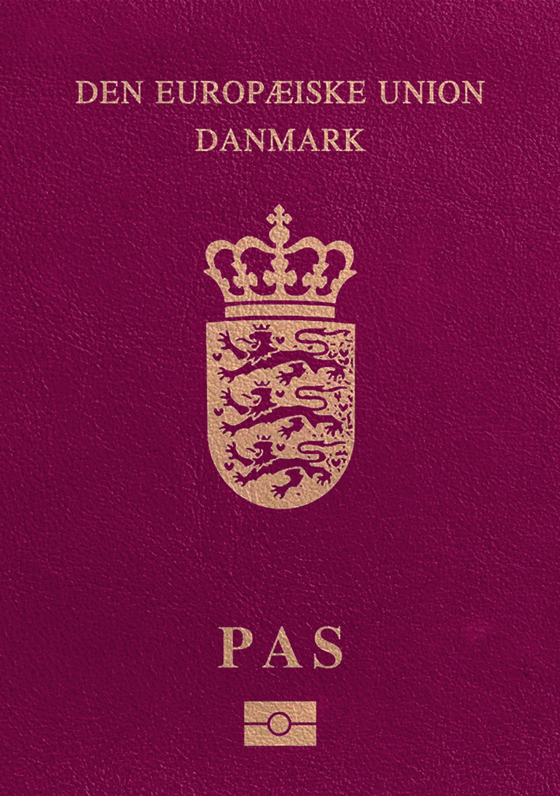 Danish Passport Photo