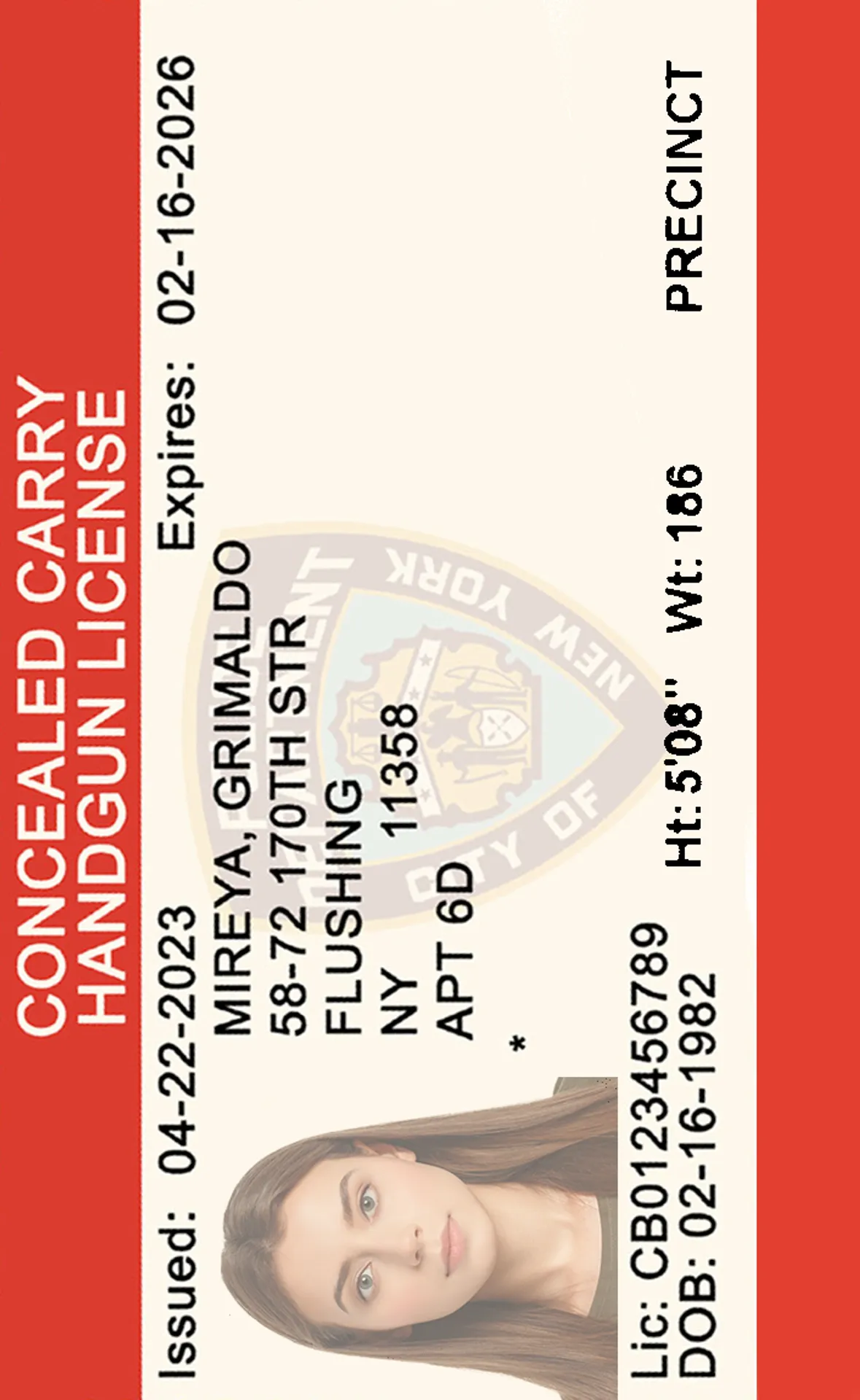 New York Gun License Photo