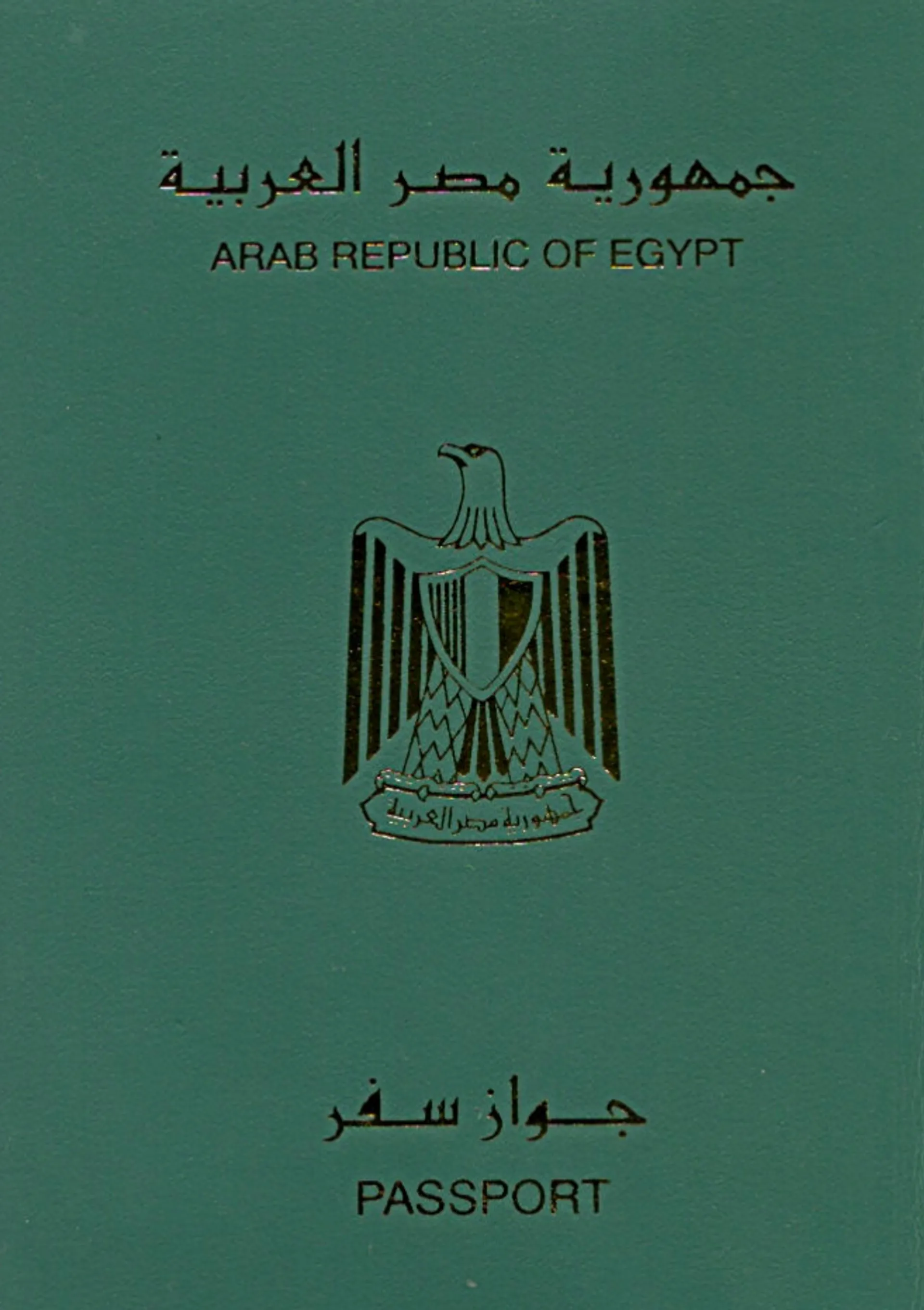 Egyptian Passport Photo