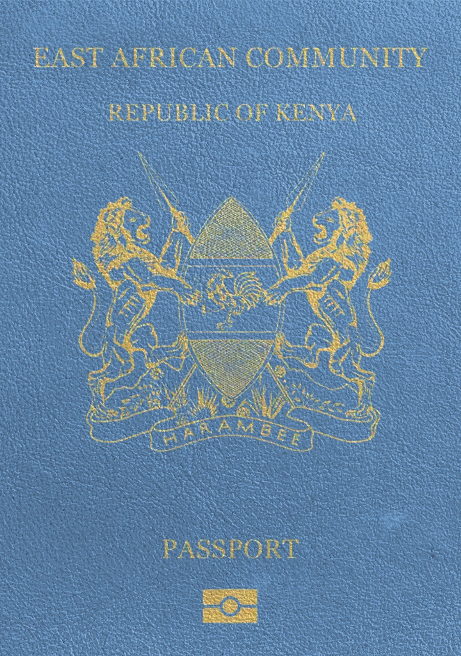 Kenyan Passport Photo