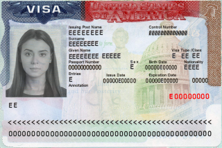 Il visto statunitense 2x2 pollici (51x51 mm)