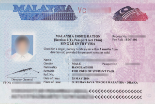 Il visto malesiano 35x50 mm (3,5 x 5,0 cm)