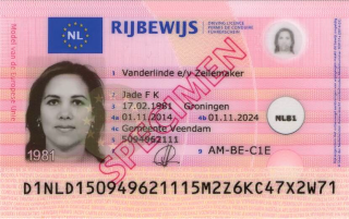 Nederlands rijbewijs