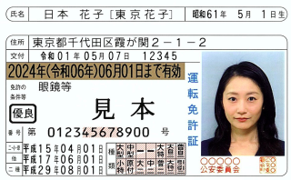 Japanese Driving Licence Photo