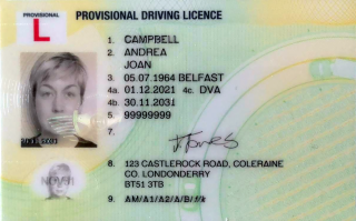 UK Provisional Driving Licence Photo