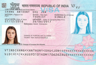 India Visa 2x2 Inches (51x51 MM)