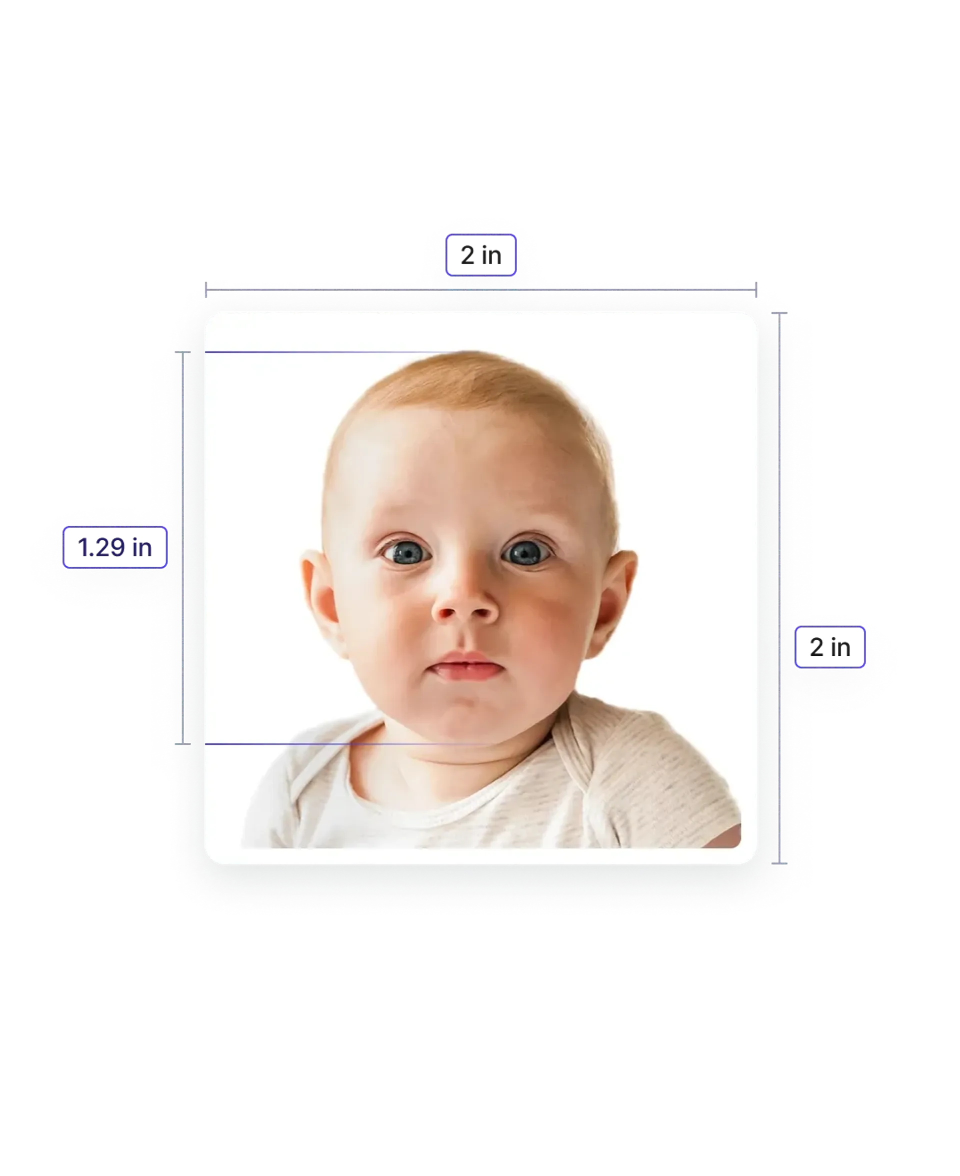Baby Passport Photos—Specifications